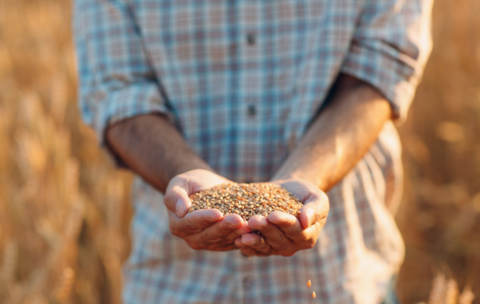 Grondstoffen Reinigen En Opslaan In Een GMO Vrije Omgeving Zo Doe Je