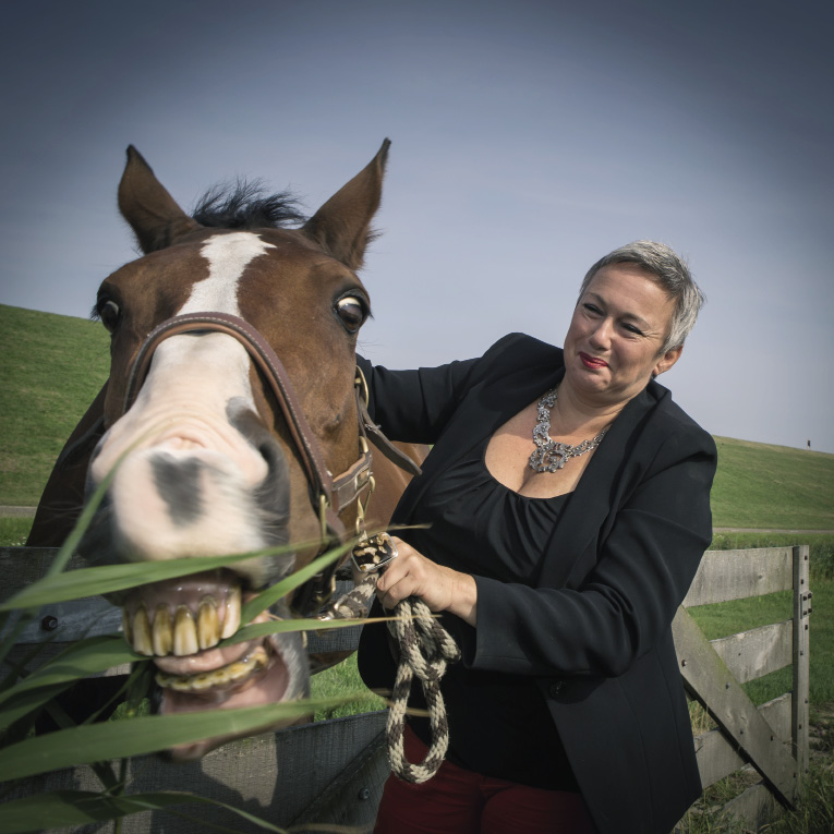 Zullen we ‘mens erger je nieten’?