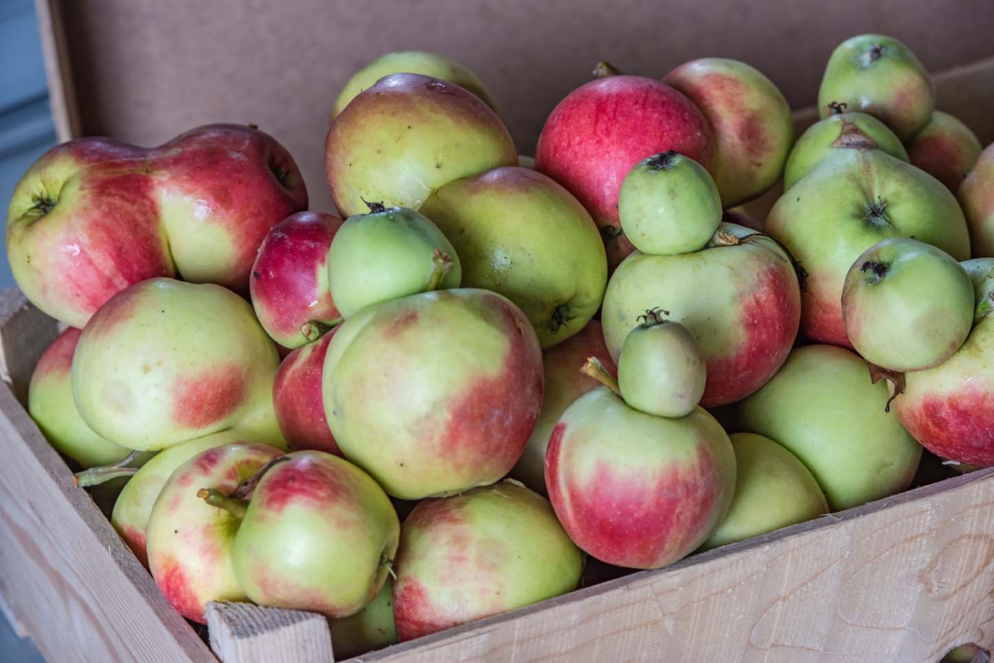 De Fruitmotor aanjager circulaire economie in de Betuwe