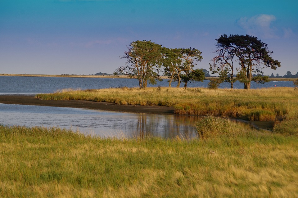 Voorzieningen in twee natuurgebieden voor mensen met fysieke beperking