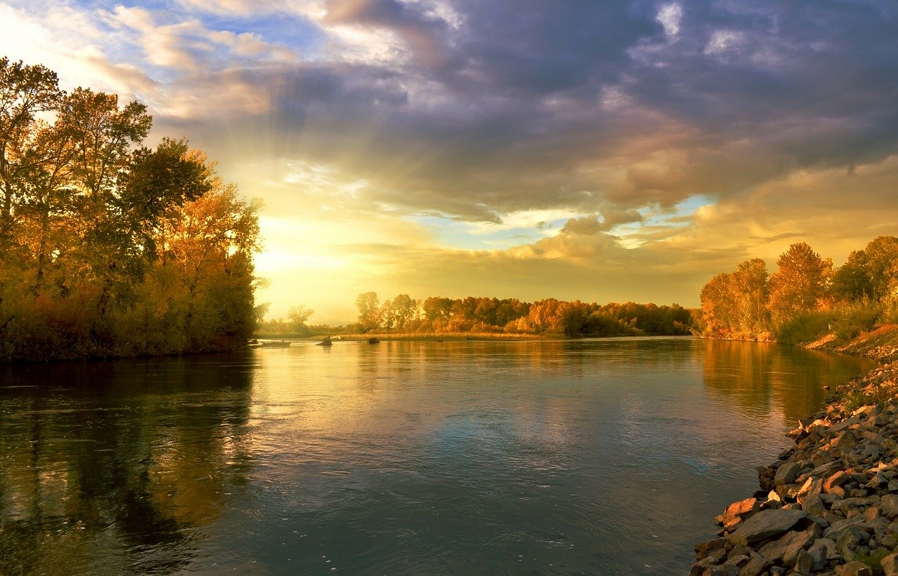 Climate Cleanup lanceert Natuurverdubbelaar