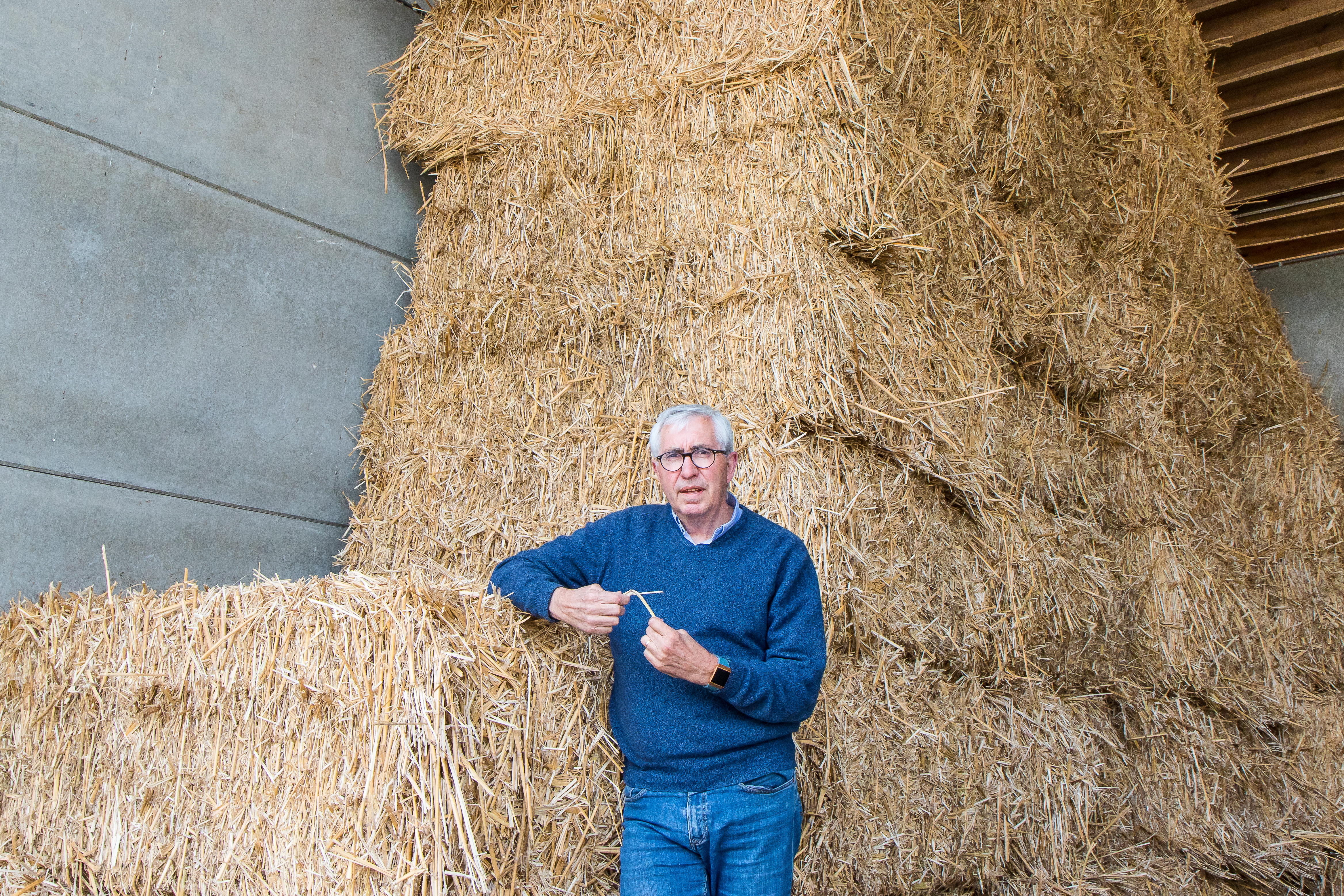 Een fabriek bouwen die nog niet bestaat voor olifantsgras