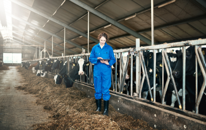 Boeren zijn rasechte ondernemers: wat kun je van ze leren?