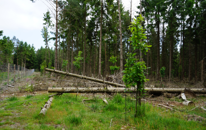 Samenwerking Wijzonol en Het Nationale Park De Hoge Veluwe verlengd