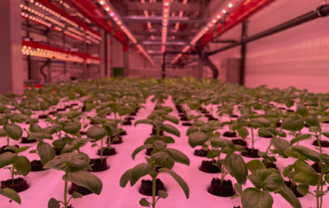 Néboda Farms kiest Skytree DAC en verlaagt CO2-kosten met 79 procent