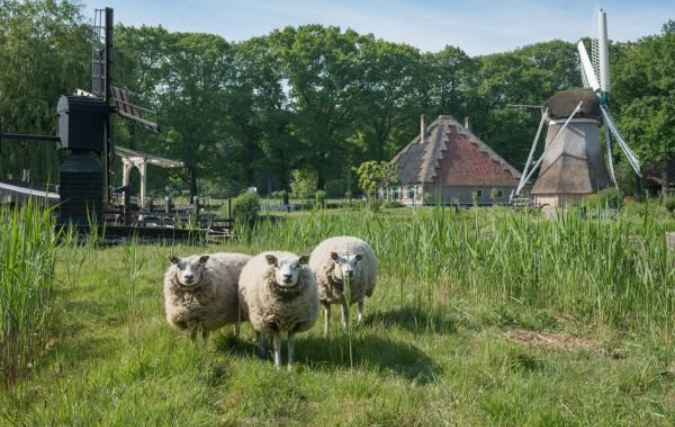 Grondstofweekenden in het Nederlands Openluchtmuseum