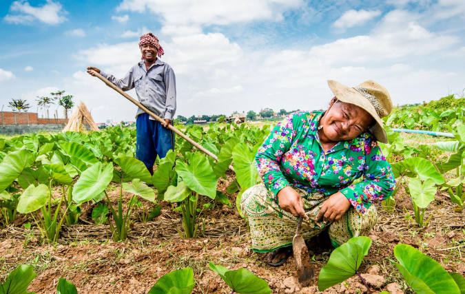 Lendahand en Triodos Investment Management vergroten support aan impactvolle ondernemers